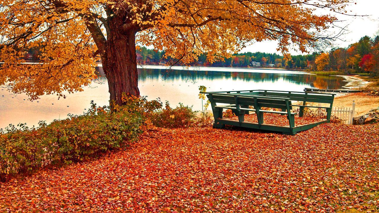 Отель Silver Lake Park Campground & Cabins Belmont Экстерьер фото
