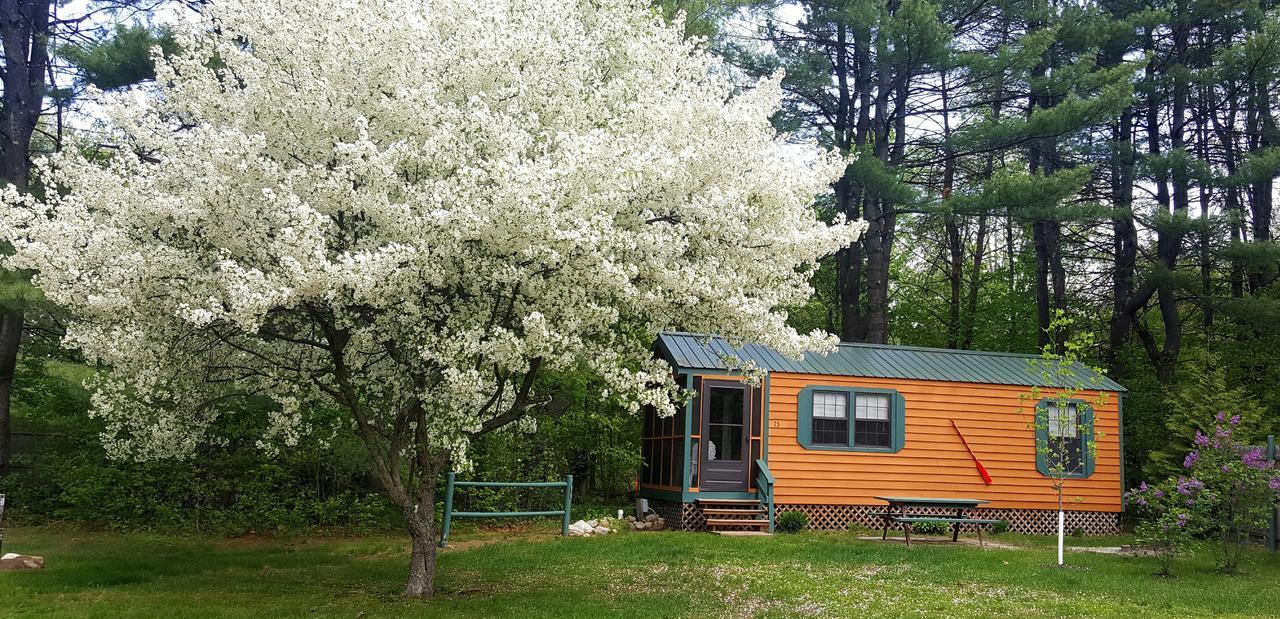 Отель Silver Lake Park Campground & Cabins Belmont Экстерьер фото